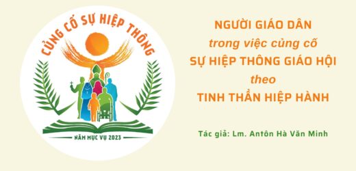 Người Giáo Dân Trong Việc Củng Cố Sự Hiệp Thông Giáo Hội Theo Tinh Thần Hiệp Hành