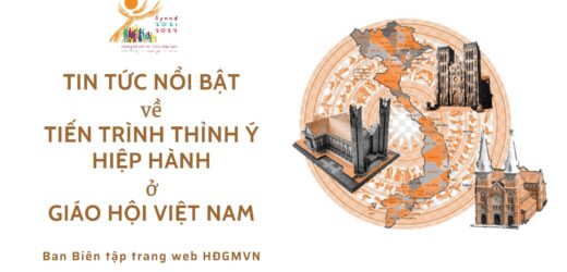 Tin Tức Nổi Bật Về Tiến Trình Thỉnh Ý Hiệp Hành Ở Giáo Hội Việt Nam
