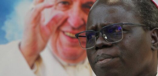 Các Cuộc Xung Đột Sẽ Không Ngăn Được Chuyến Viếng Thăm Của Đức Thánh Cha Tại Nam Sudan