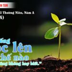 30.01.2026 – Thứ Sáu Tuần III Thường Niên, Năm A – Hạt Giống Mọc Lên (Mc 4,26-34)