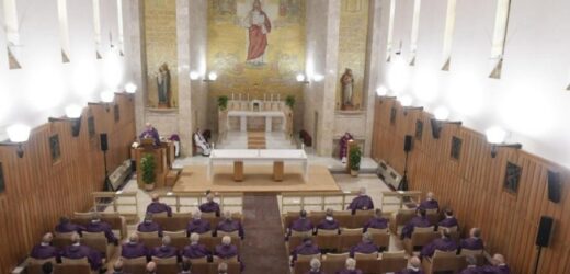 Đức Thánh Cha Và Giáo Triều Tĩnh Tâm Riêng