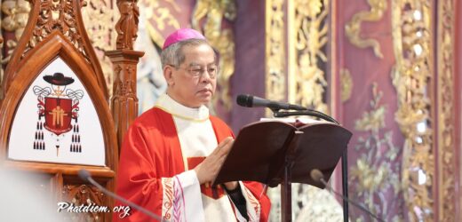 Thánh Lễ Tạ Ơn Kết Thúc Sứ Vụ Tại Phát Diệm Của Đức Tổng Giám Mục Giuse Nguyễn Năng