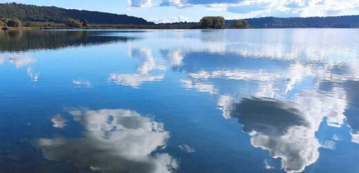 Đức Thánh Cha: Tiêu Thụ Ít Hơn Nhưng Sống Tương Quan Cá Nhân Nhiều Hơn