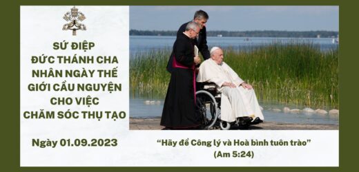 Sứ Điệp Đức Thánh Cha Nhân Ngày Thế Giới Cầu Nguyện Cho Việc Chăm Sóc Thụ Tạo Năm 2023