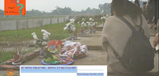 Giải Đáp Thắc Mắc Cho Người Trẻ: Bài 87 – Sự Sống Thai Nhi – Hồng Ân Bị Loại Bỏ