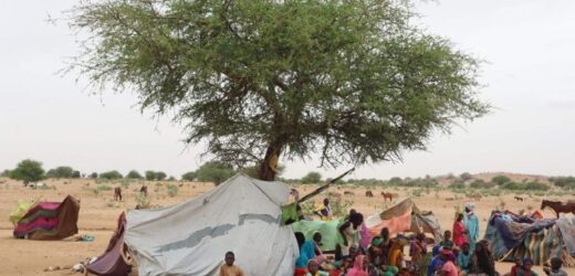 Đức Thánh Cha Mời Gọi Thiếu Nhi Phi Châu Trở Thành Những Đại Sứ Hoà Bình