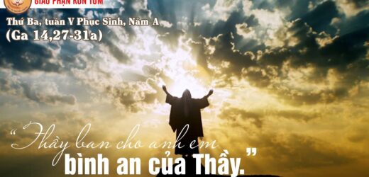 09.05.2023 – Thứ Ba Tuần V Phục Sinh, Năm A