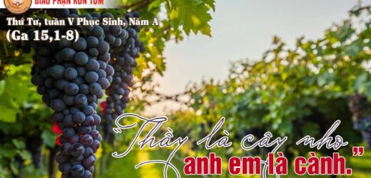 10.05.2023 – Thứ Tư Tuần V Phục Sinh, Năm A