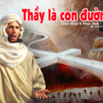 Chúa Nhật V Phục Sinh, Năm A (03.05.2026) – Thầy Là Con Đường (Ga 14,1-12)