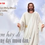 Chúa Nhật VII Phục Sinh, Năm A (17.05.2026) – Chúa Thăng Thiên – Anh Em Hãy Đi (Mt 28,16-20)