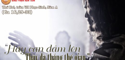 22.05.2023 – Thứ Hai Tuần VII Phục Sinh, Năm A