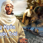 Nước Trời Giống Như Chuyện… – Dưới Ánh Sáng Lời Chúa (Bài 24) – Chúa Nhật 17 Thường Niên Năm A
