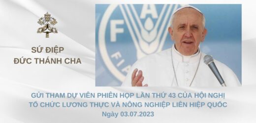 Sứ Điệp Đức Thánh Cha Phanxicô Gửi Hội Nghị Của Tổ Chức Lương Thực Và Nông Nghiệp Liên Hợp Quốc Năm 2023