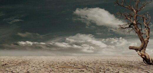 ĐTC Ban Hành Tông Huấn “Laudate Deum”, Kêu Gọi Ứng Phó Với Cuộc Khủng Hoảng Khí Hậu