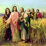 14.05.2024 – Thánh Mátthia, Tông Đồ – Chính Thầy Đã Chọn Anh Em