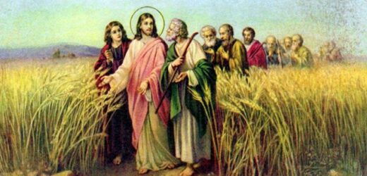11.06.2024 – Thánh Banaba, Tông Đồ – Hãy Đi Rao Giảng