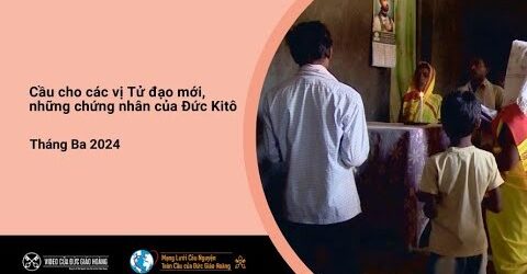 Ý Cầu Nguyện Của ĐTC Trong Tháng 3: Cầu Cho Các Vị Tử Đạo Mới