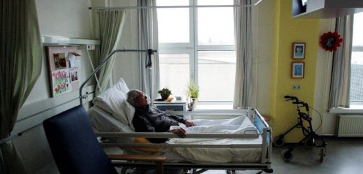 Đức Thánh Cha: An Tử Là Một Sự Thất Bại Của Tình Yêu