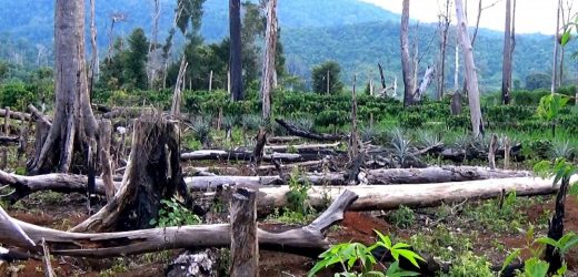 Văn Minh Đã Không Còn