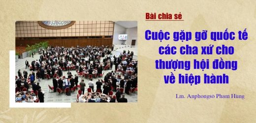 Bài Chia Sẻ Về Cuộc Gặp Gỡ Quốc Tế Các Cha Xứ Cho Thượng Hội Đồng Về Hiệp Hành