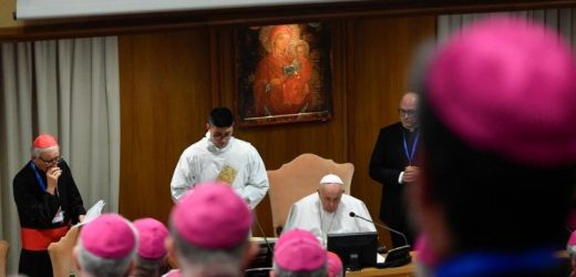 Vatican: ĐTC Không Bao Giờ Có Ý Xúc Phạm Người Đồng Tính