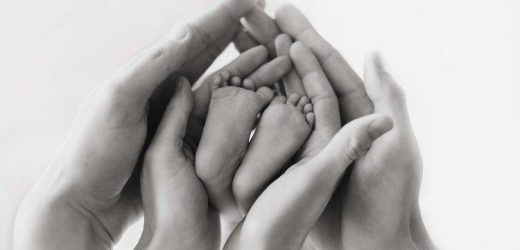 Câu Chuyện Bảo Vệ Sự Sống Của Nhà Báo Fernando Người Tây Ban Nha