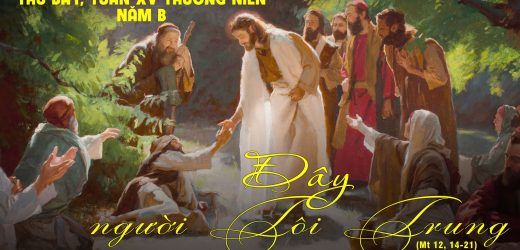 20.07.2024 – Thứ Bảy Tuần XV Thường Niên – Đây Người Tôi Trung