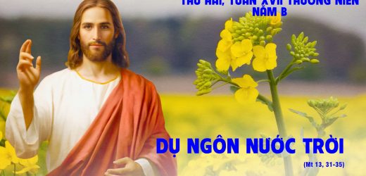 29.07.2024 – Thứ Hai Tuần XVII Thường Niên – Dụ Ngôn Nước Trời