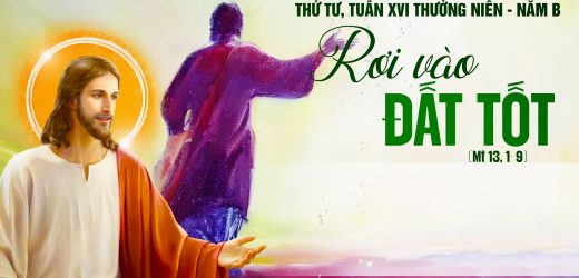 24.07.2024 – Thứ Tư Tuần XVI Thường Niên – Rơi Vào Đất Tốt