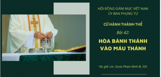 Cử Hành Thánh Thể: Bài 42 – Hòa Bánh Thánh Vào Máu Thánh