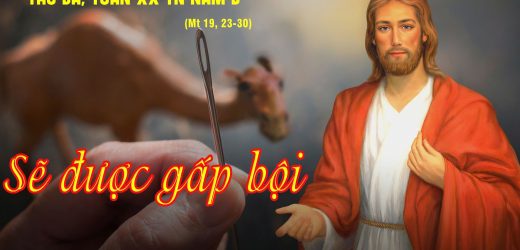 20.08.2024 – Thứ Ba Tuần XX Thường Niên – Sẽ Được Gấp Bội