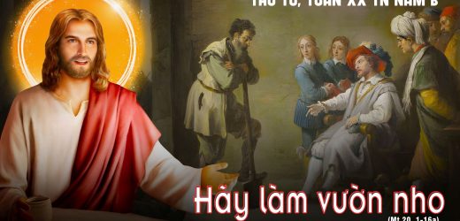 21.08.2024 – Thứ Tư Tuần XX Thường Niên – Hãy Làm Vườn Nho