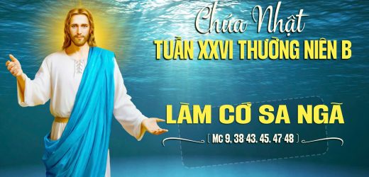 Chúa Nhật XXVI Thường Niên, Năm B (CN 29.09.2024) – Làm Cớ Sa Ngã