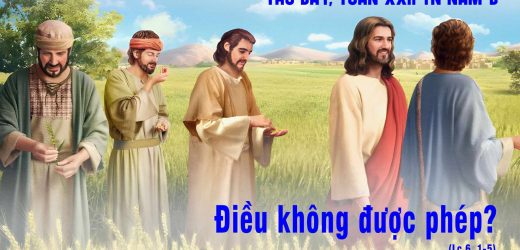 07.09.2024 – Thứ Bảy Tuần XXII Thường Niên – Điều Không Được Phép?