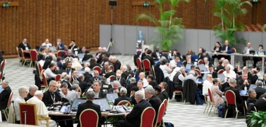 Bản Thảo Tài Liệu Chung Kết Của Thượng HĐGM Được Trình Bày Cho Các Tham Dự Viên