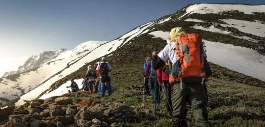 Hướng Tới Khoá Họp Thứ Hai Của Thượng Hội Đồng 2021-2024