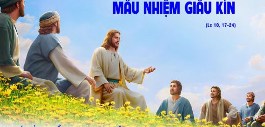 05.10.2024 – Thứ Bảy Tuần XXVI Thường Niên – Mầu Nhiệm Giấu Kín