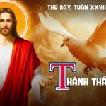 19.10.2024 – Thứ Bảy Tuần XXVIII Thường Niên – Thánh Thần Sẽ Dạy