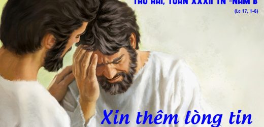 11.11.2024 – Thứ Hai Tuần XXXII Thường Niên – Xin Thêm Lòng Tin