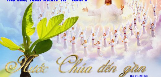 29.11.2024 – Thứ Sáu Tuần XXXIV Thường Niên – Nước Chúa Đến Gần
