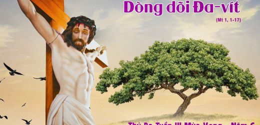 17.12.2024 – Thứ Ba Tuần III Mùa Vọng – Dòng Dõi Đa-vít