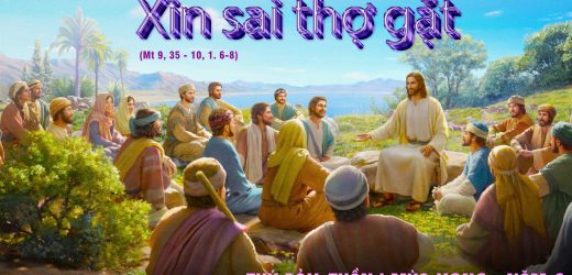 07.12.2024 – Thứ Bảy Tuần I Mùa Vọng – Xin Sai Thợ Gặt