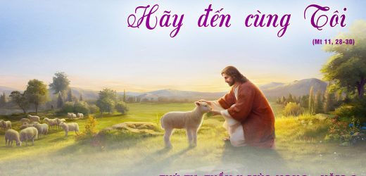 11.12.2024 – Thứ Tư Tuần II Mùa Vọng – Hãy Đến Cùng Tôi