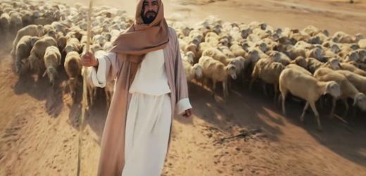 MV Phim Sứ Mệnh: Cửa Năm Thánh Và Sứ Mệnh Mục Tử