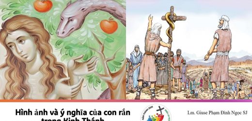 Hình Ảnh Và Ý Nghĩa Của Con Rắn Trong Kinh Thánh