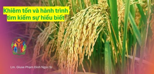 Khiêm Tốn Và Hành Trình Tìm Kiếm Sự Hiểu Biết