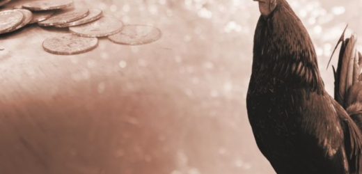 Chúng Ta Có Thể Học Được Gì Từ Thánh Phêrô Và Giuđa Iscariot?