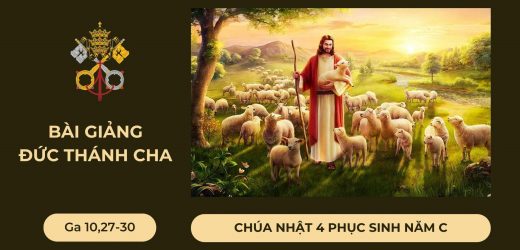 Bài Giảng Đức Thánh Cha – Chúa Nhật 4 Phục Sinh Năm C