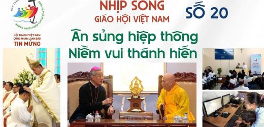 Nhịp Sống Giáo Hội Việt Nam Số 20 (05/5 – 12/5/2025): Ân Sủng Hiệp Thông – Nềm Vui Thánh Hiến
