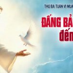 12.05.2026 – Thứ Ba Tuần VI Phục Sinh – Đấng Bảo Trợ Đến (Ga 16,5-11)